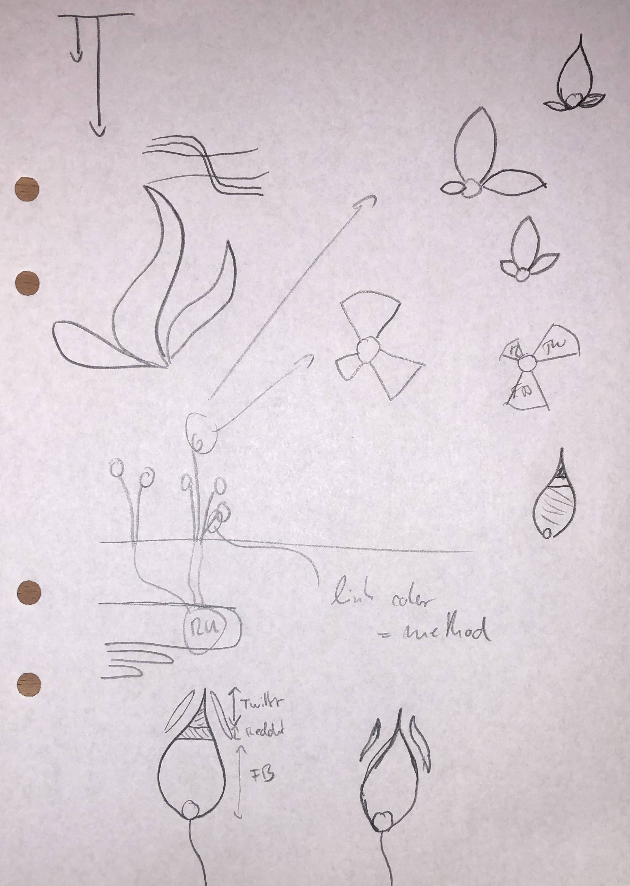 Multiple wild sketches of flames and flowers.